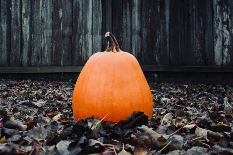 brittany-angus-AtFI4RkyMe0-unsplash-1600x1067