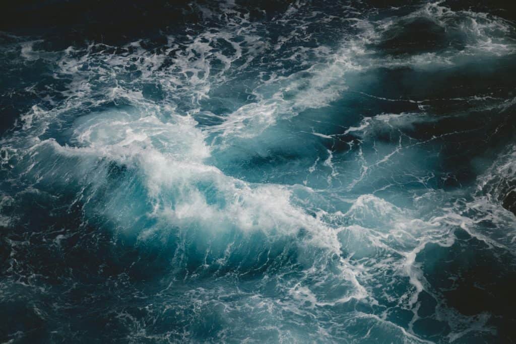 Moby-Dick and In the Heart of the Sea