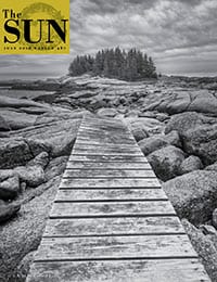 The Sun cover