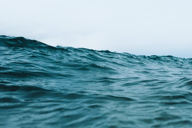 thierry-meier-PKEPAeMBOIU-unsplash-1600x1067